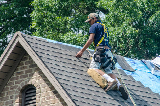 Best Storm Damage Roof Repair  in Leeds, AL